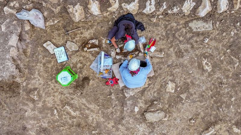 Malatyalı Ev Kadını Diyarbakır'ın Ücra Köşesinde İz Sürüyor